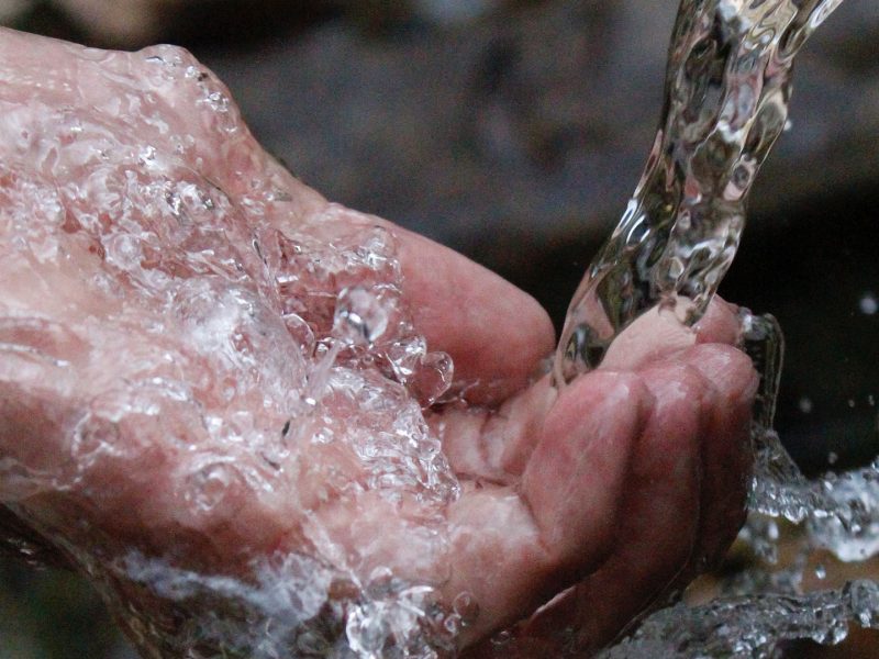 stail-drinking-water