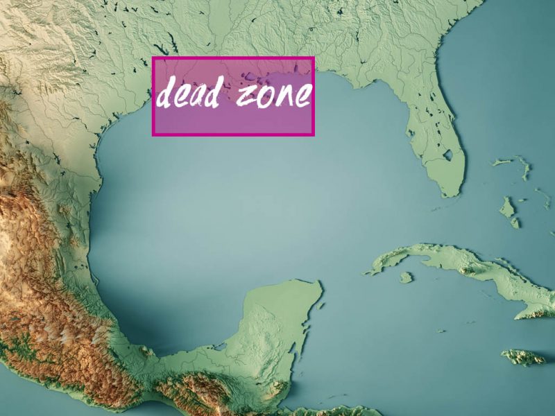 Gulf of Mexico’s Dead Zone